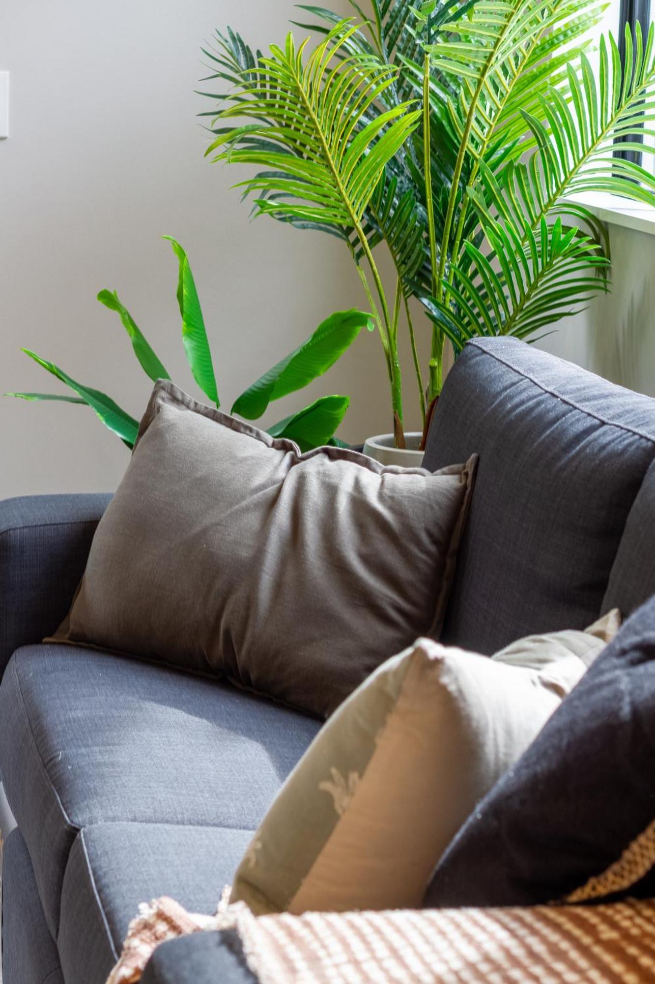 Latimer Square Luxe: 1Br W/ Sofa Bed クライストチャーチ エクステリア 写真